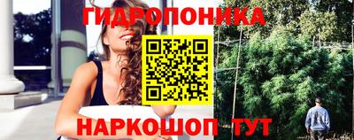 прущие грибы Изобильный