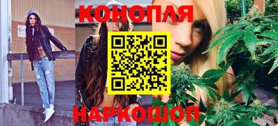 прущие грибы Изобильный