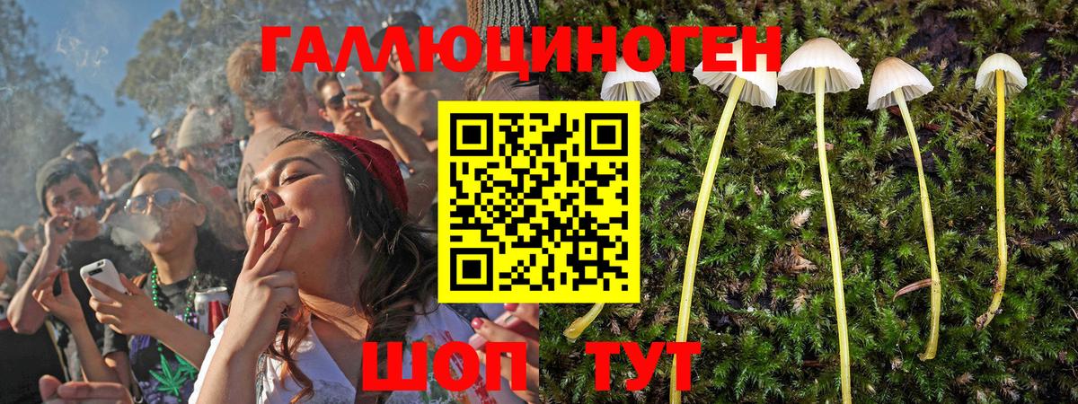Псилоцибиновые грибы мицелий Майский